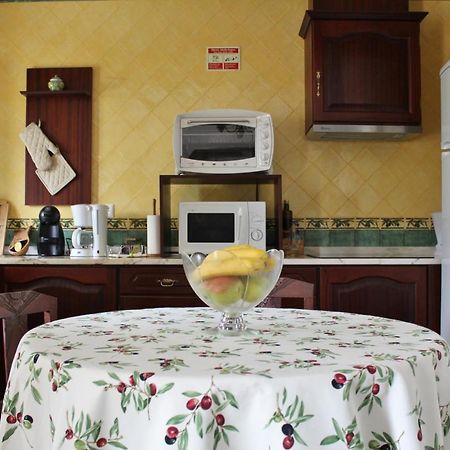 Oliveira Country House Figueira e Barros 외부 사진