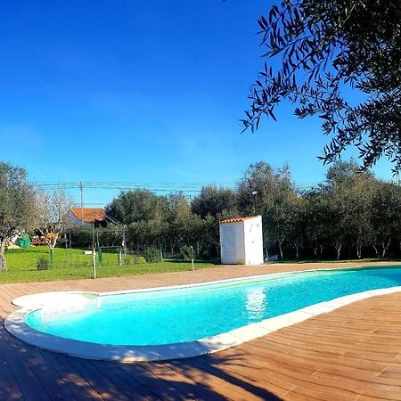 Oliveira Country House Figueira e Barros 외부 사진