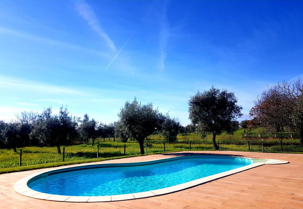 Oliveira Country House Figueira e Barros 외부 사진