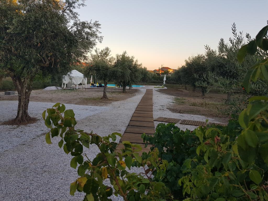 Oliveira Country House Figueira e Barros 외부 사진